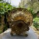 Large brass Art Nouveau fruit bowl