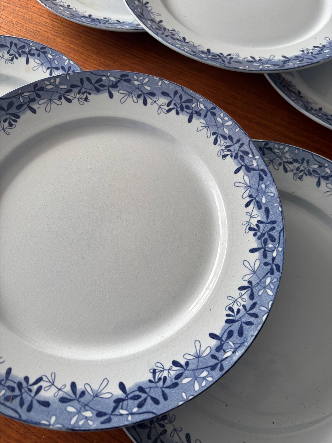 Set of 6 mimosa plates from Sarreguemines, old blue earthenware