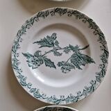 Set of 12 Saint Amand ironstone plates, Richelieu model