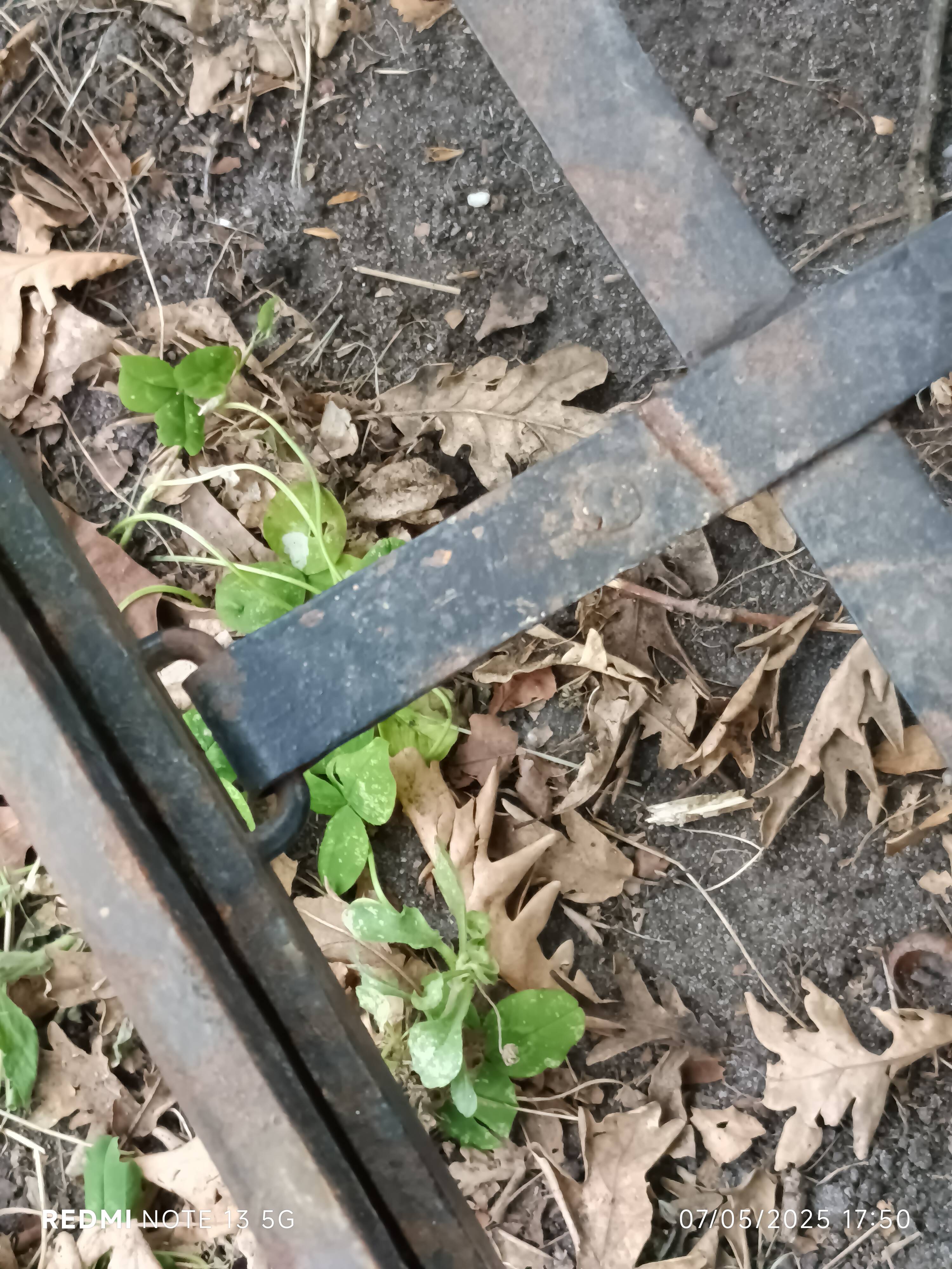 Bench, cast iron daybed, late 19th - early 20th century