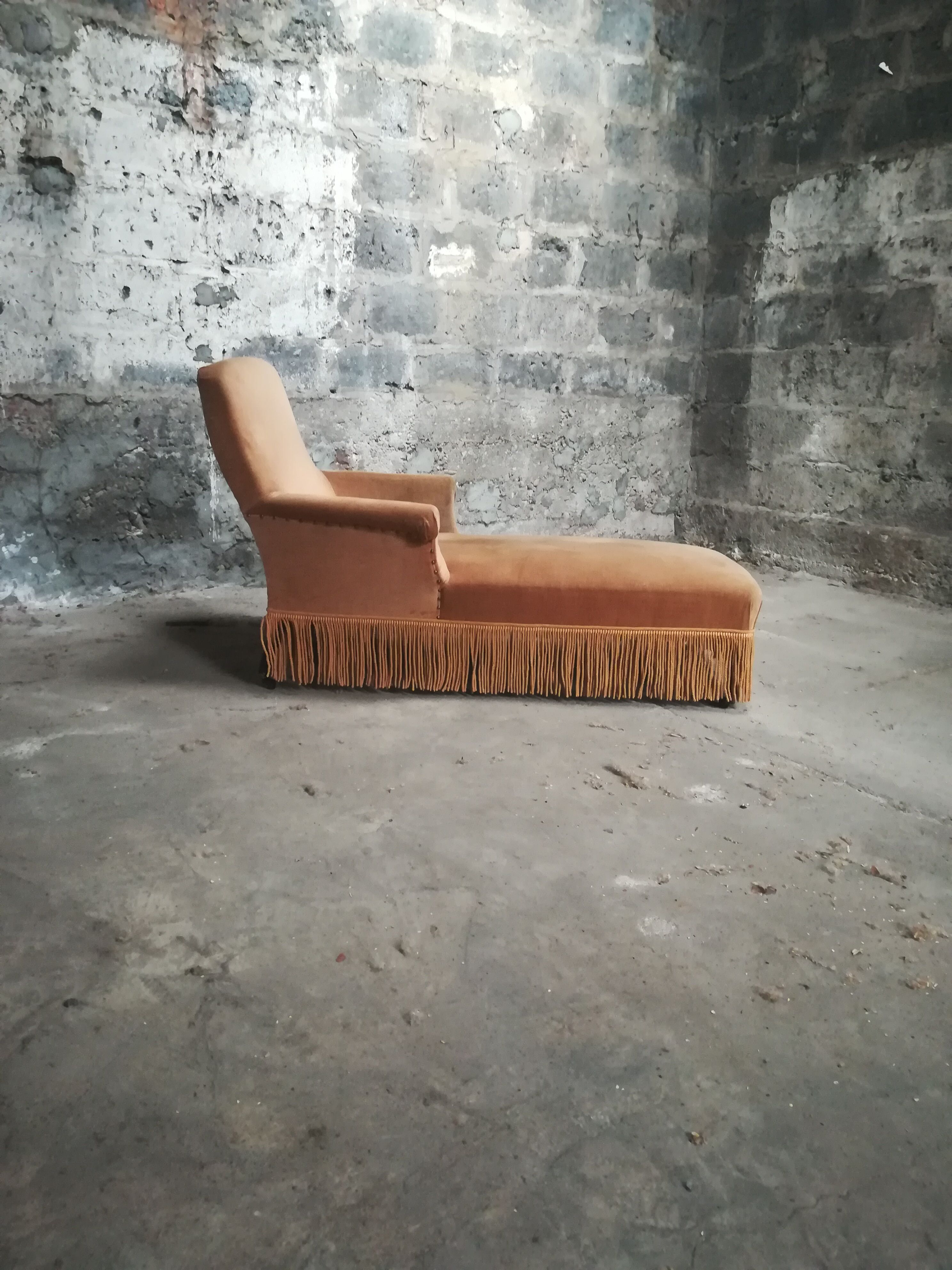 Meridian vintage toad