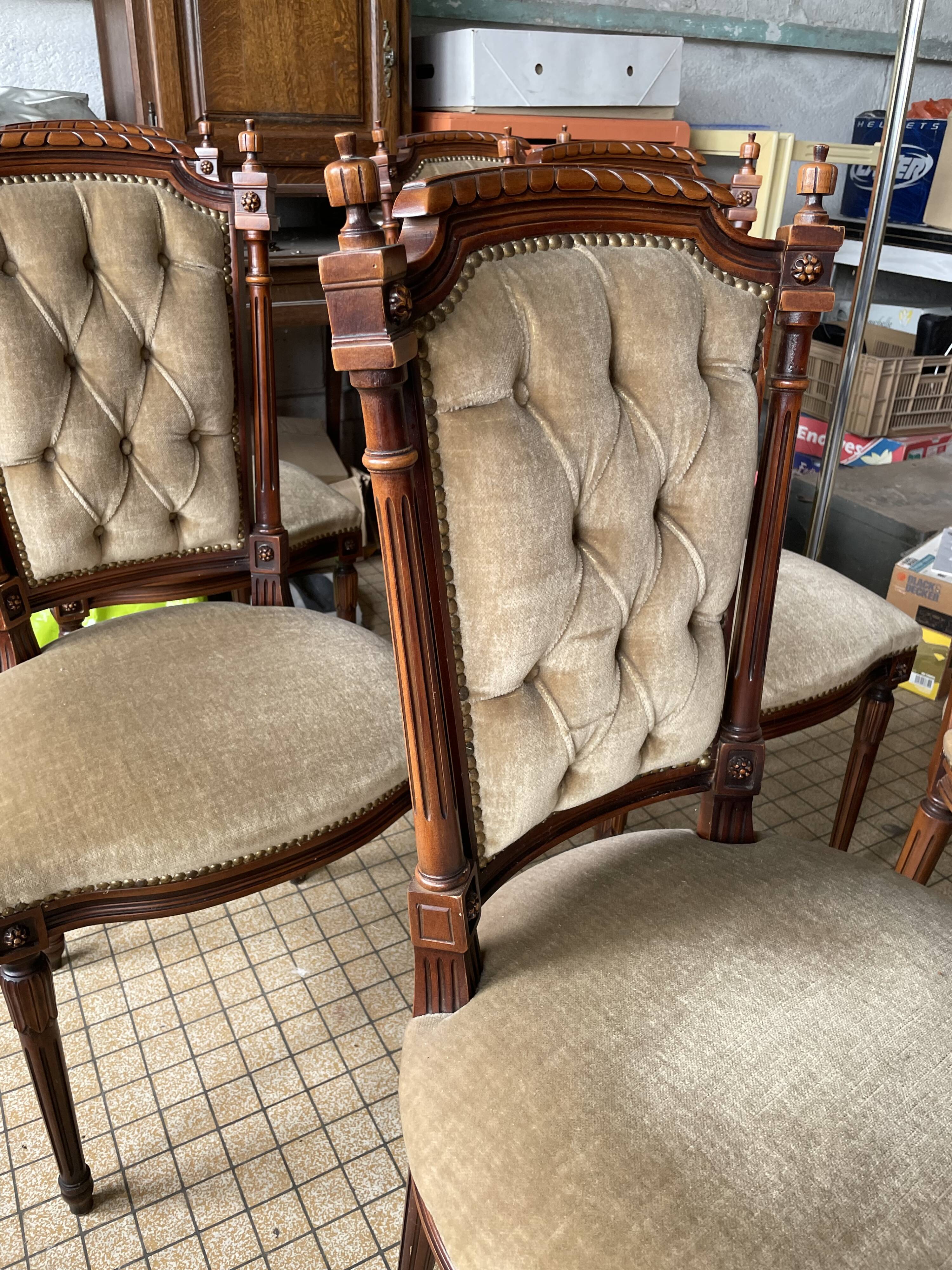 Louis XVI Style Chairs