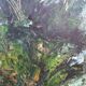 At the edge of wood oil on panel