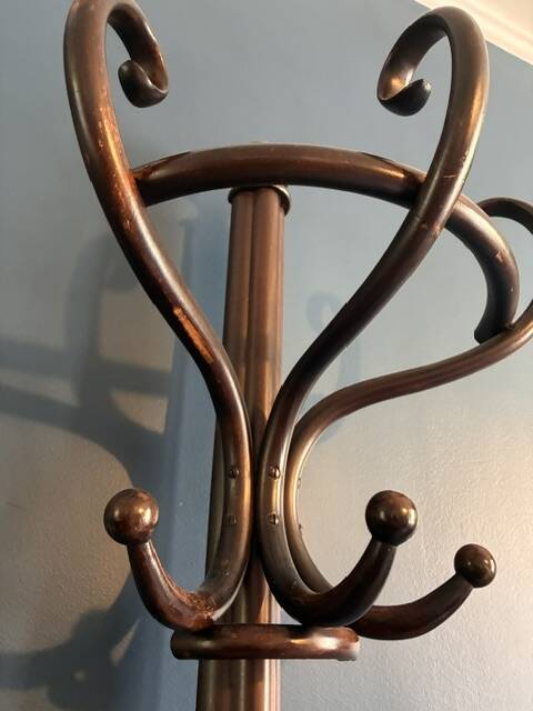 Coat rack - Thonet parrot in bent wood