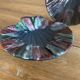 Pair of iridescent shells