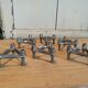Set de 6 bougeoirs nagel