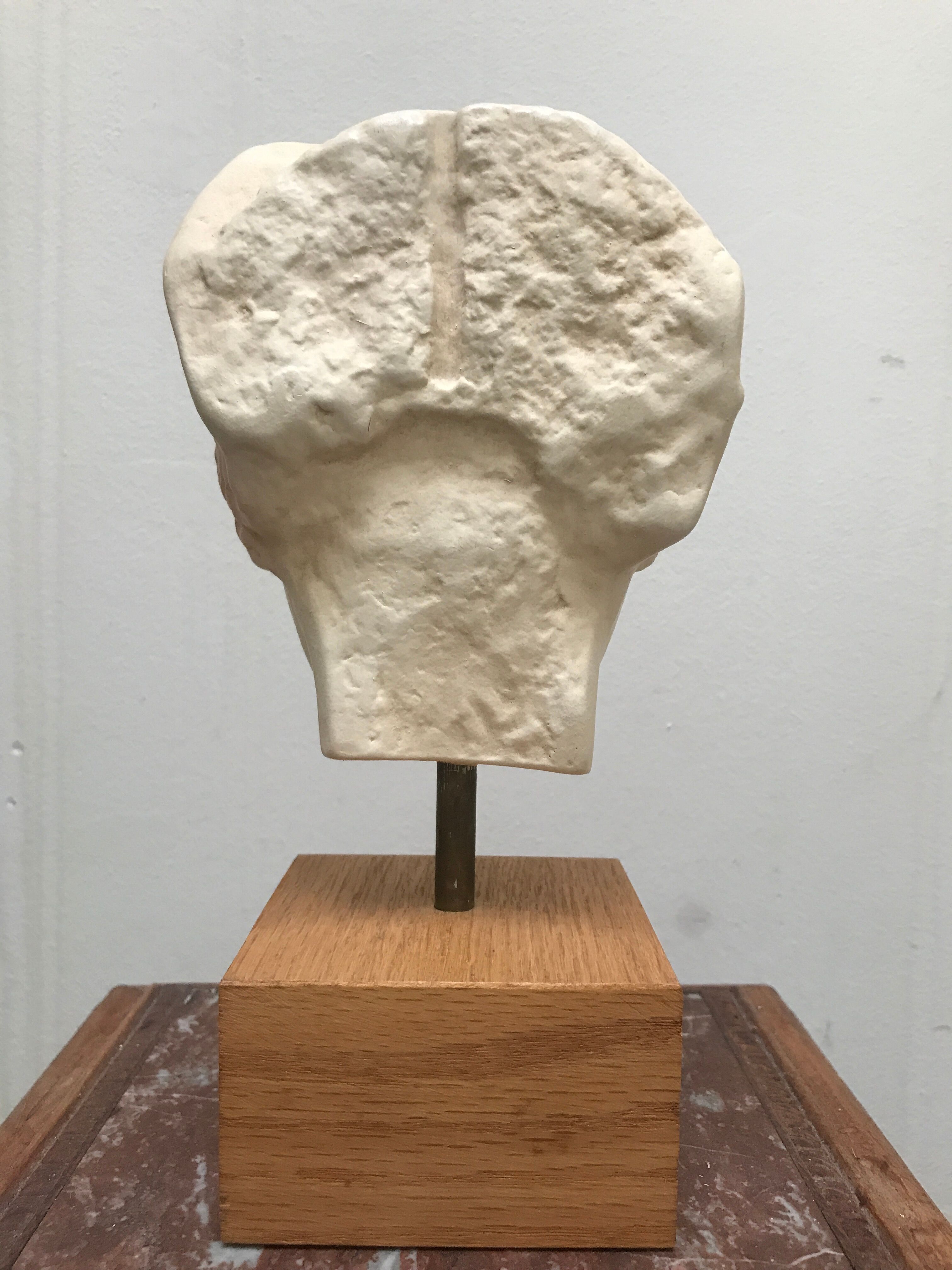 Bust head of ancient woman