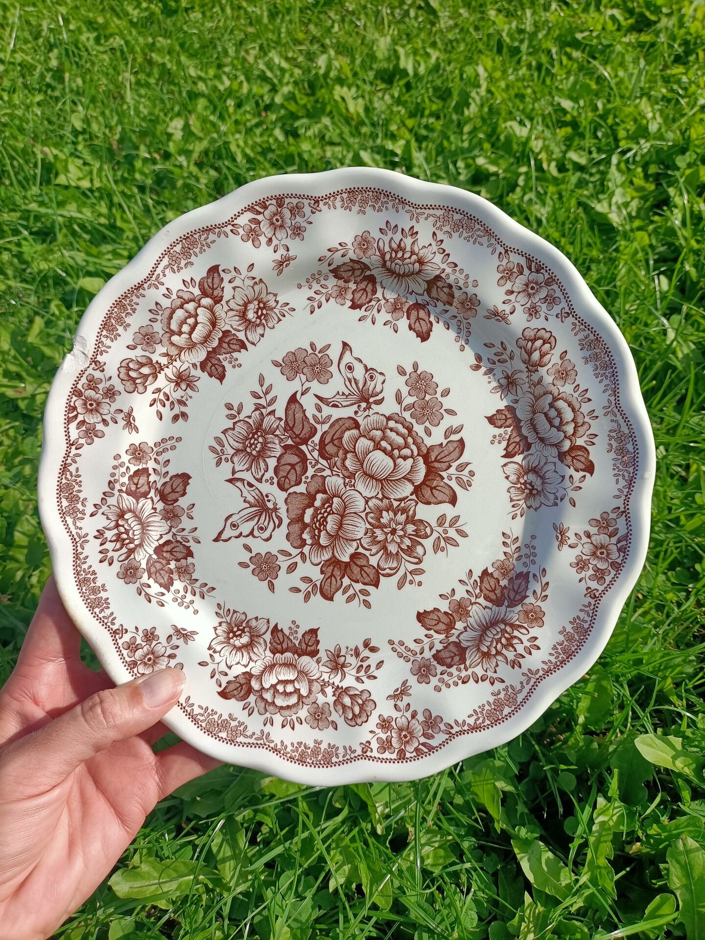 Set of stamped plates 🌻