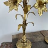 Decorative elements - brass and bronze with décor - fleurs-de-lys - France