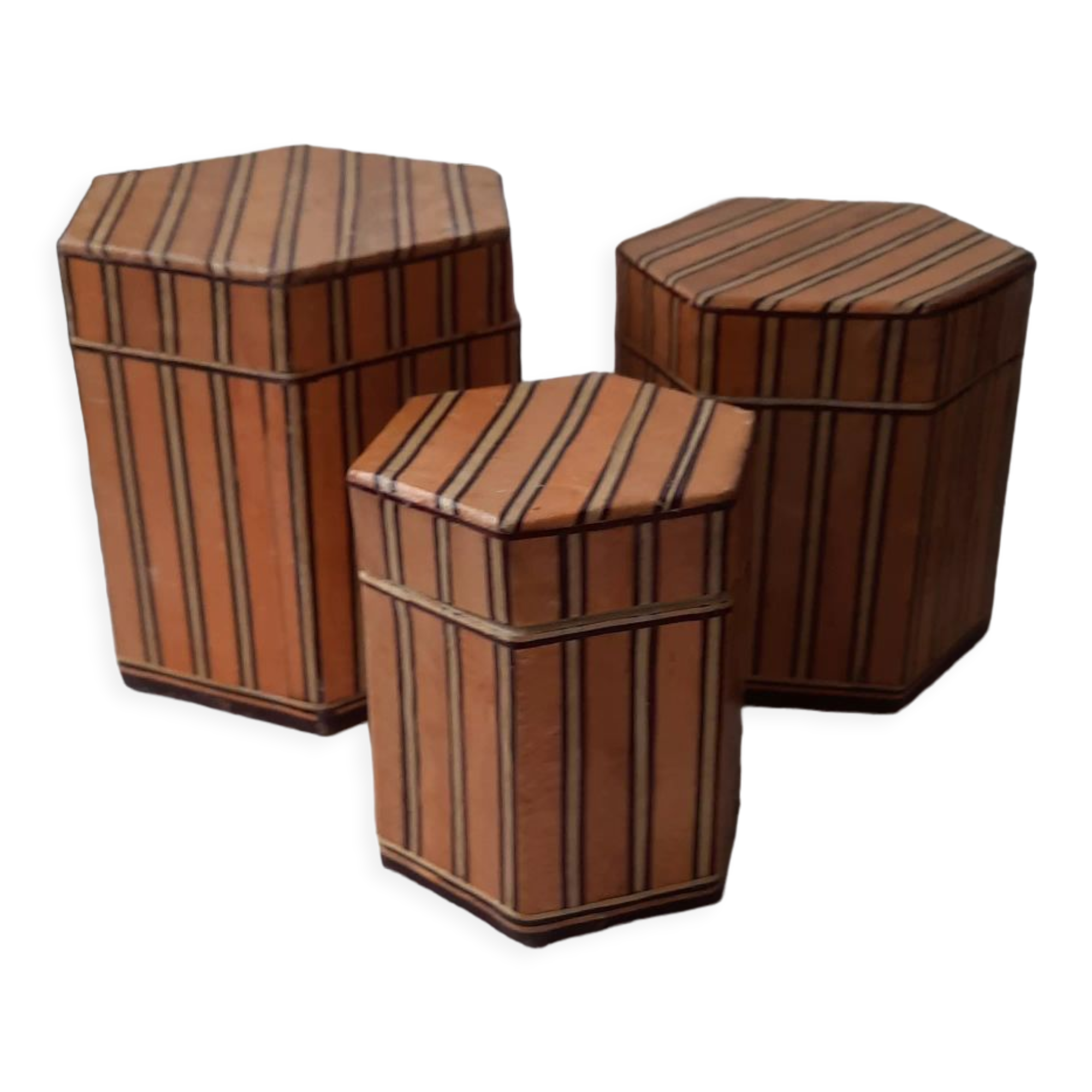 Cardboard nesting boxes and wooden strips