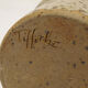 Gustave Tiffoche's ceramic box