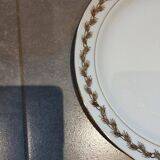 Limoges porcelain dinnerware set