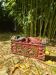 Balinese carved wooden box