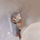 Art Deco Bathroom Wall Lamp Year 40.