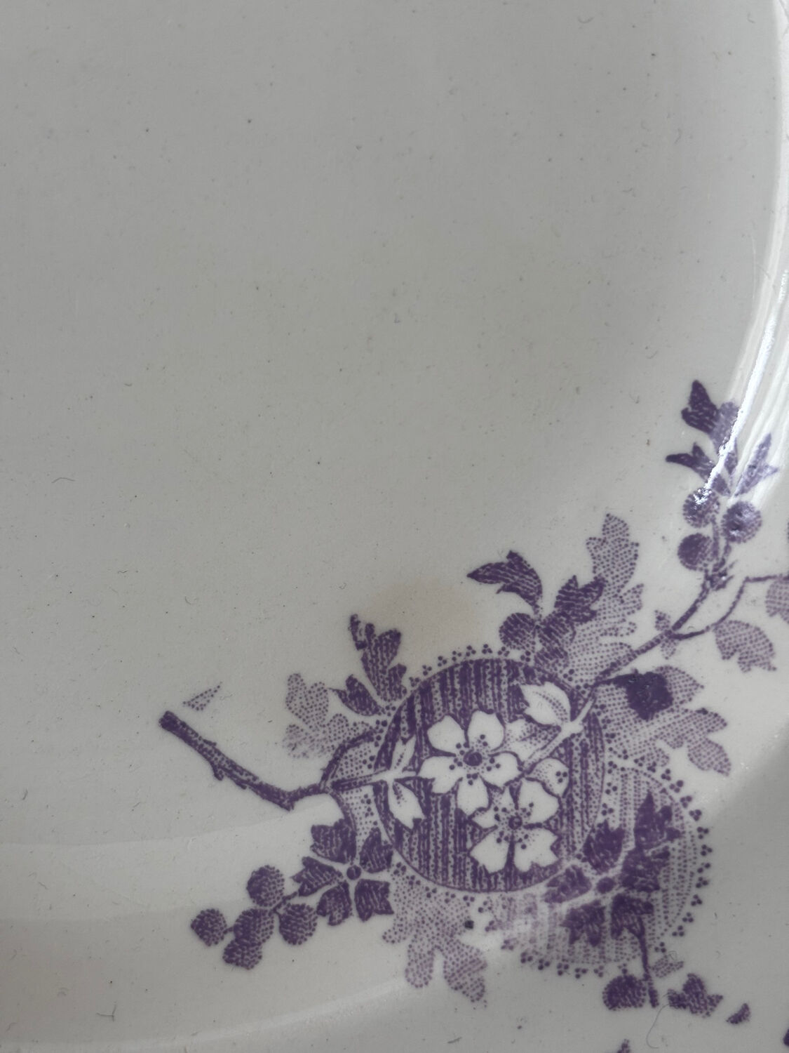 Sublime hollow plate Terre de Fer Longwy Hanoi