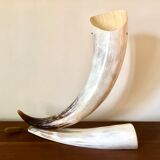 Large horn lamp