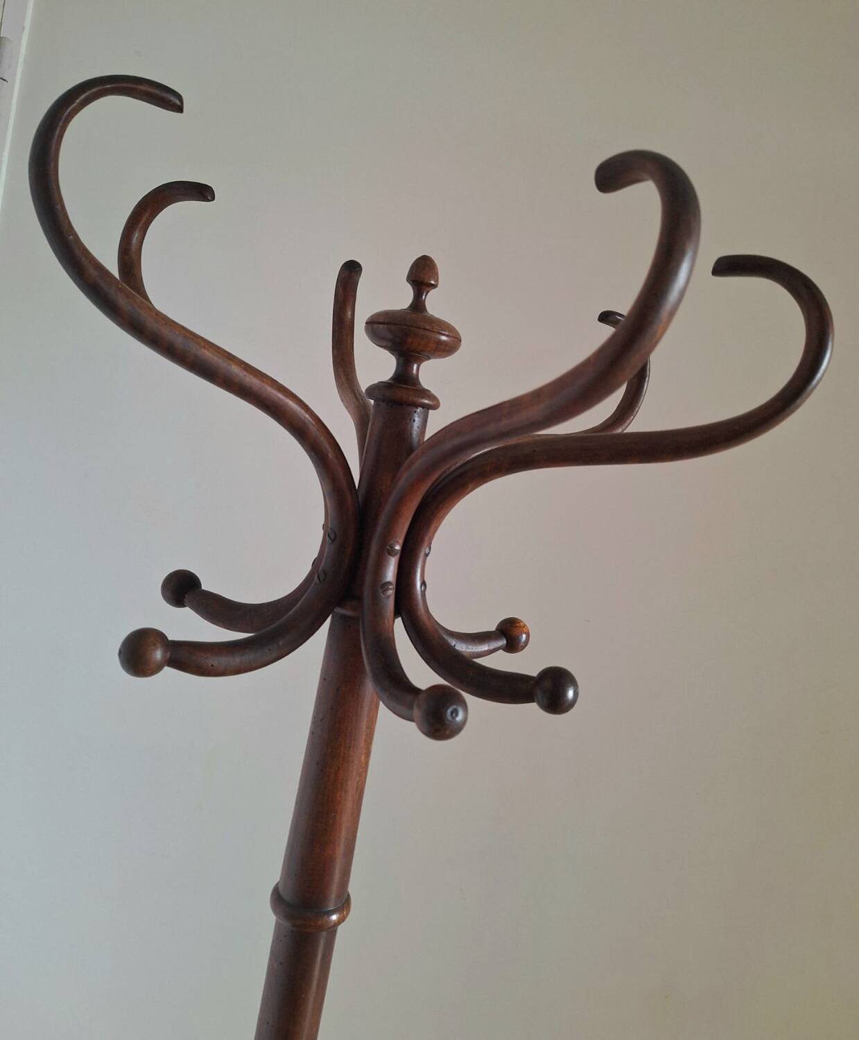 Vintage parrot coat racks, old furniture for entrance