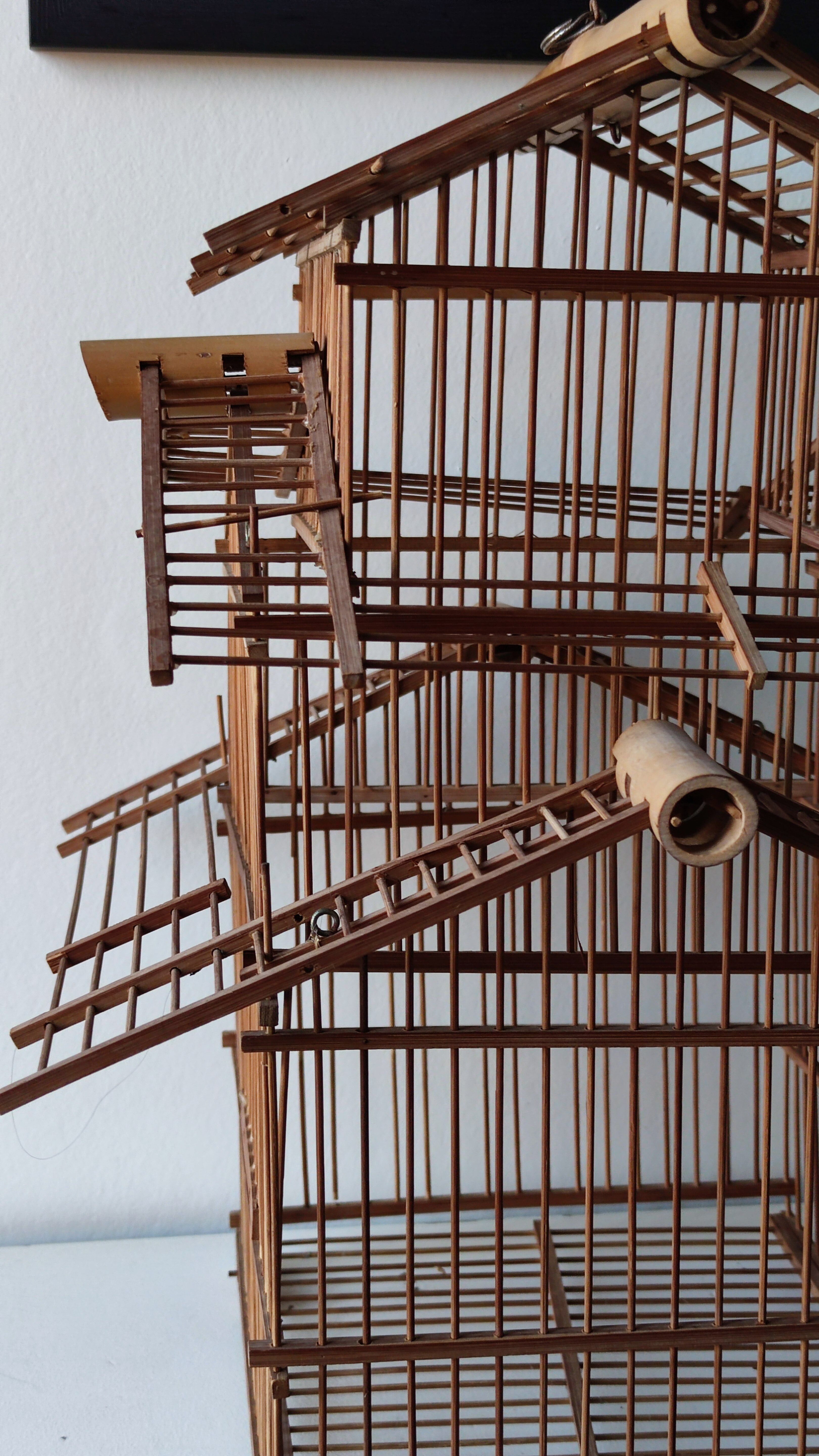 Asian bird cage