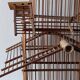 Asian bird cage