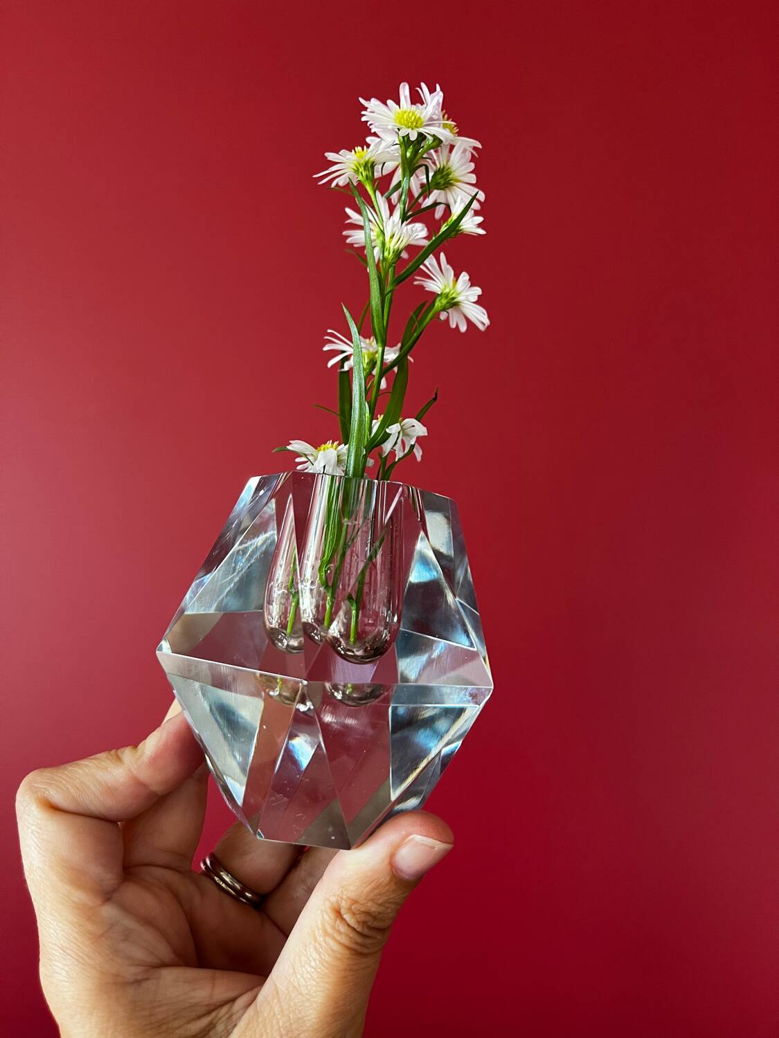 Pair of crystal vases