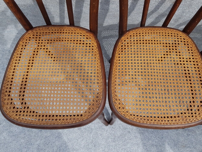 Curved wooden lounge 1900, a bench and four chairs
