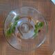 Old glass vase with gilding and Art Deco painted flowers