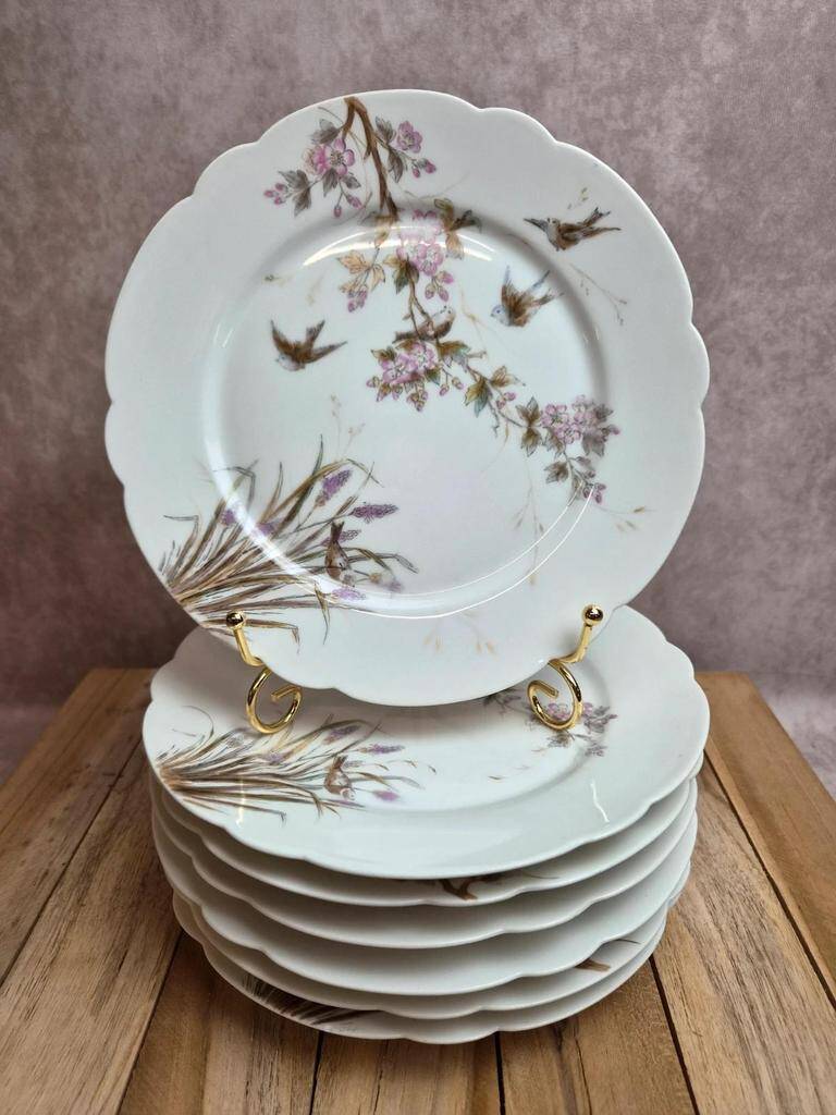 Set of 7 antique porcelain plates – Decorated with polychrome birds and flowers