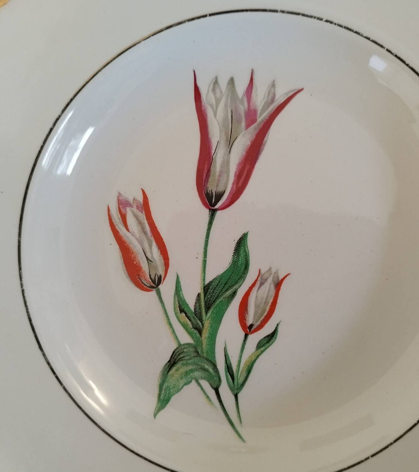 Old earthenware hollow plates Moulin des loups Orchies vintage tulip model