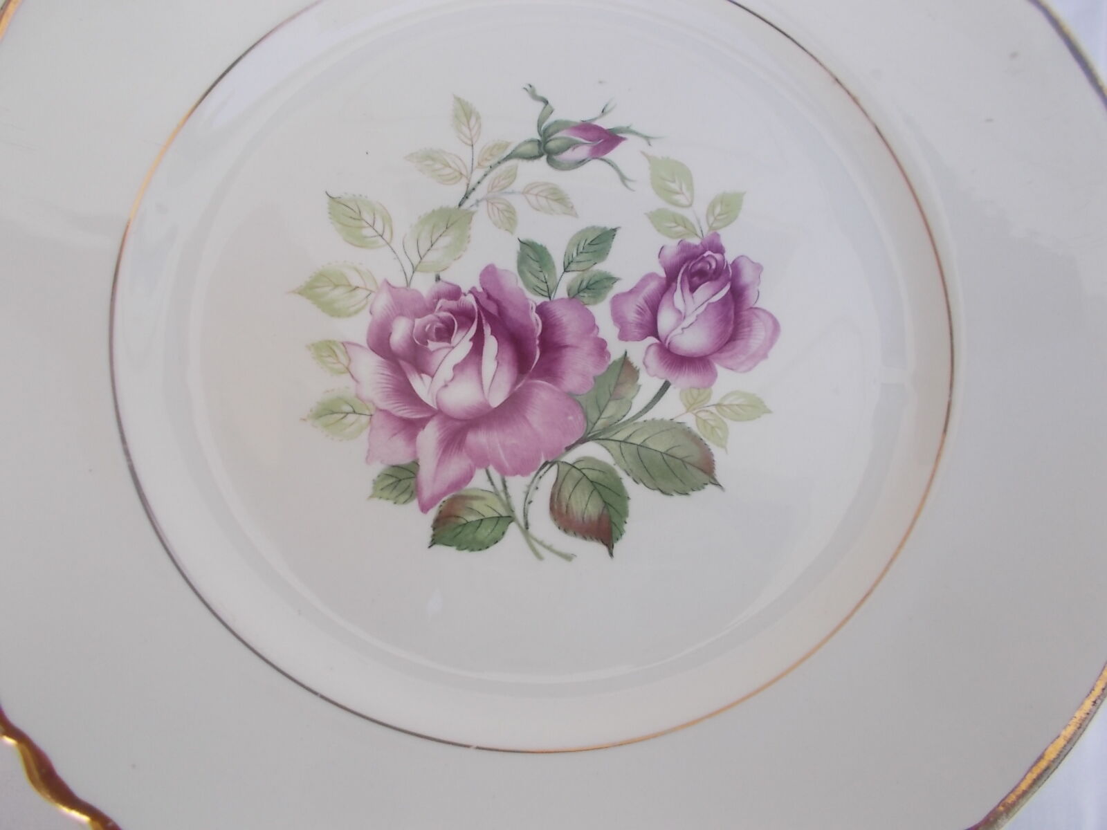 Lot 11 flat plates moulin des loups