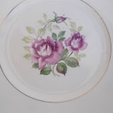 Lot 11 flat plates moulin des loups