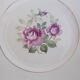 Lot 11 assiettes plates moulin des loups