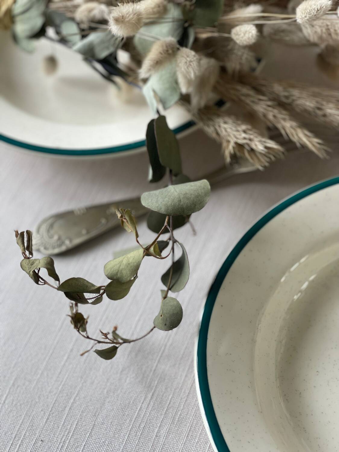 6 earthenware soup plates