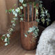 Rattan plant holder