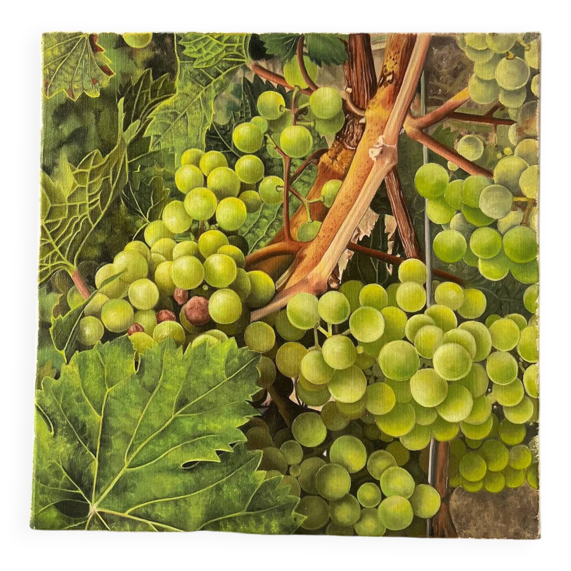 Vintage French still life - grapes (30x30 cm)