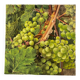 Vintage French still life - grapes (30x30 cm)