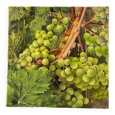 Vintage French still life - grapes (30x30 cm)