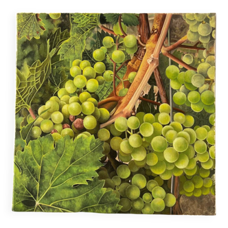 Vintage French still life - grapes (30x30 cm)