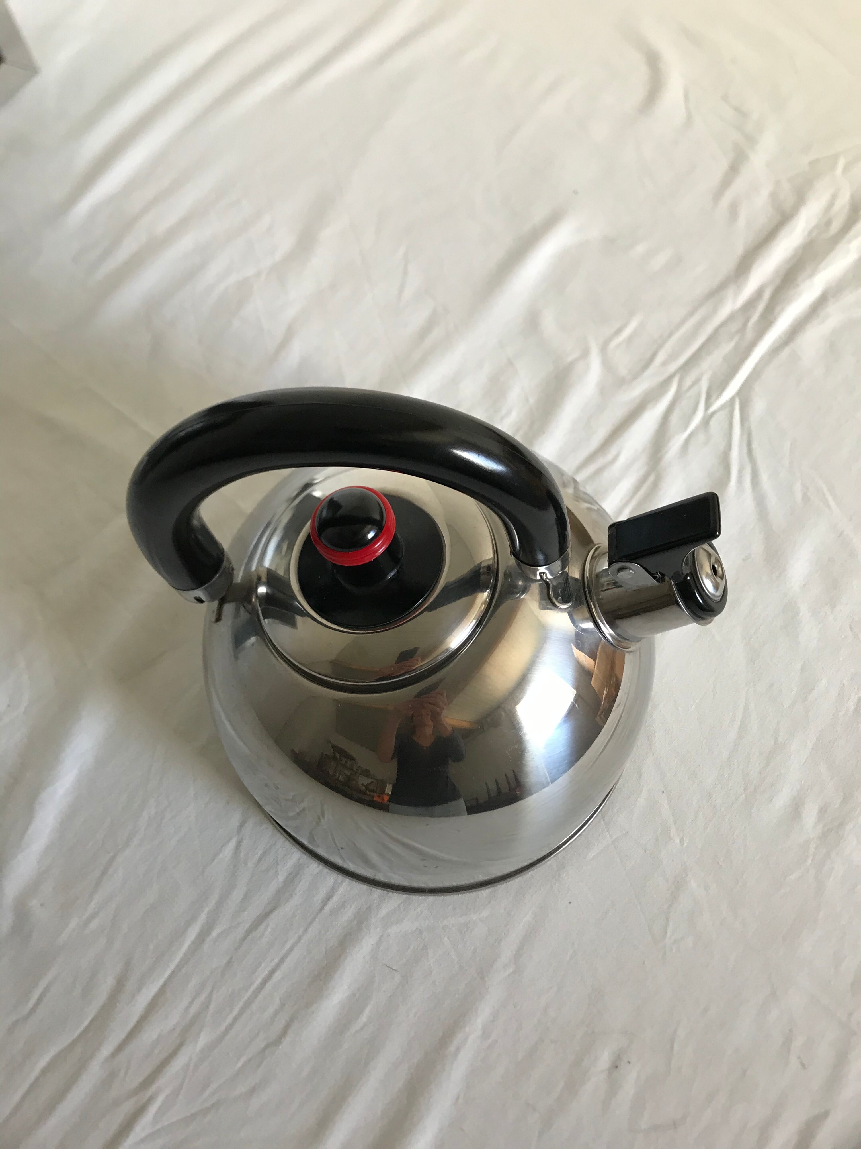 Stainless steel teapot