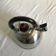 Stainless steel teapot