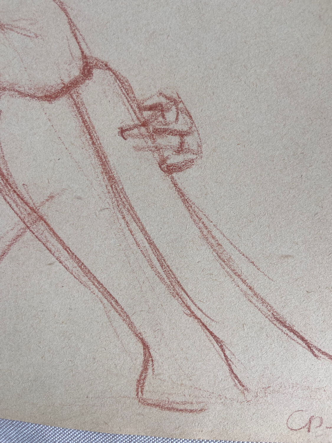 Female nude drawing