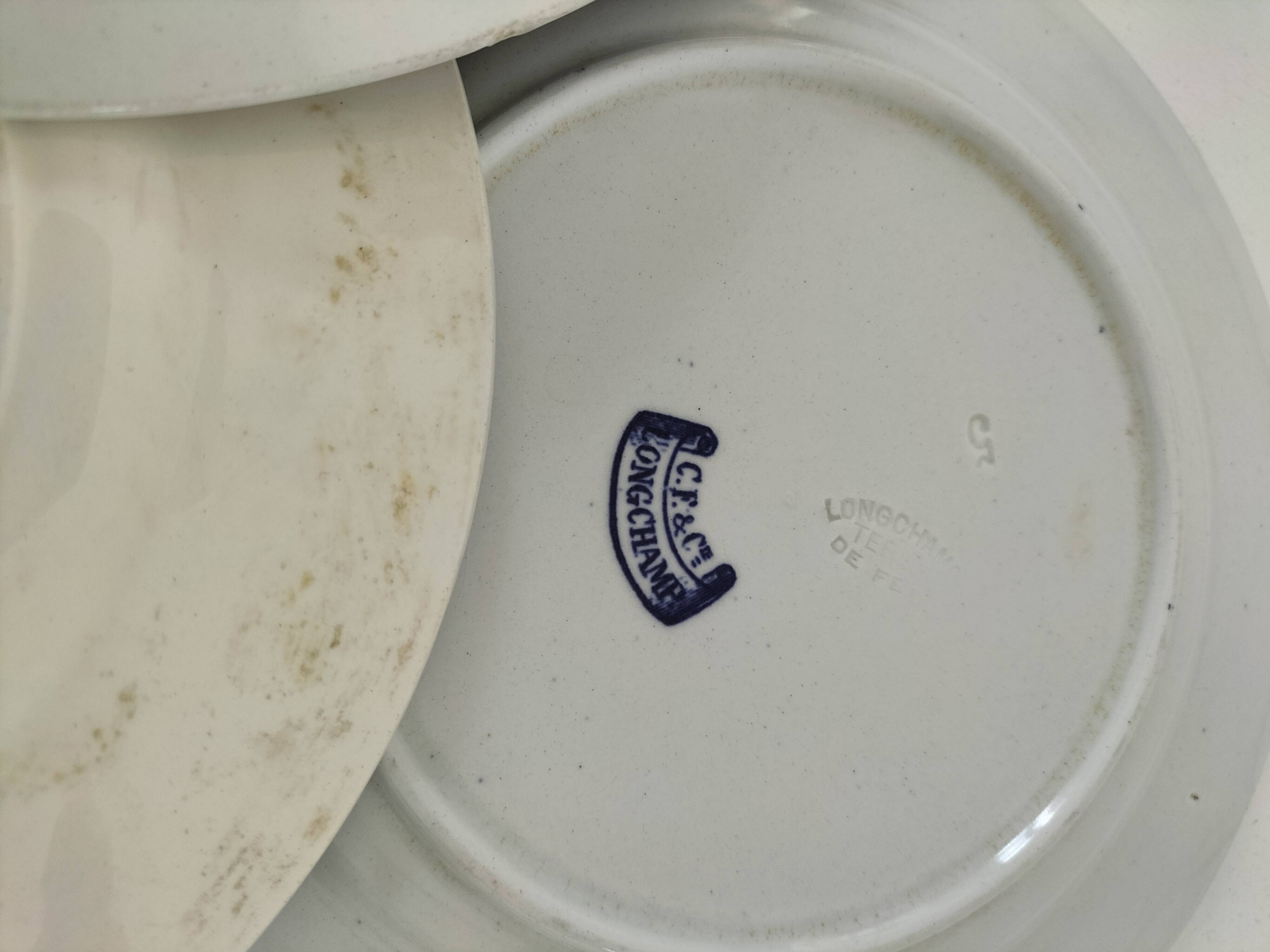 8 ironstone plates from the 19th century in blue camaïeu, mixed manufacturers.