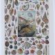 Journey to the Heart of Molluscs, illustrated plate and ancestral techniques