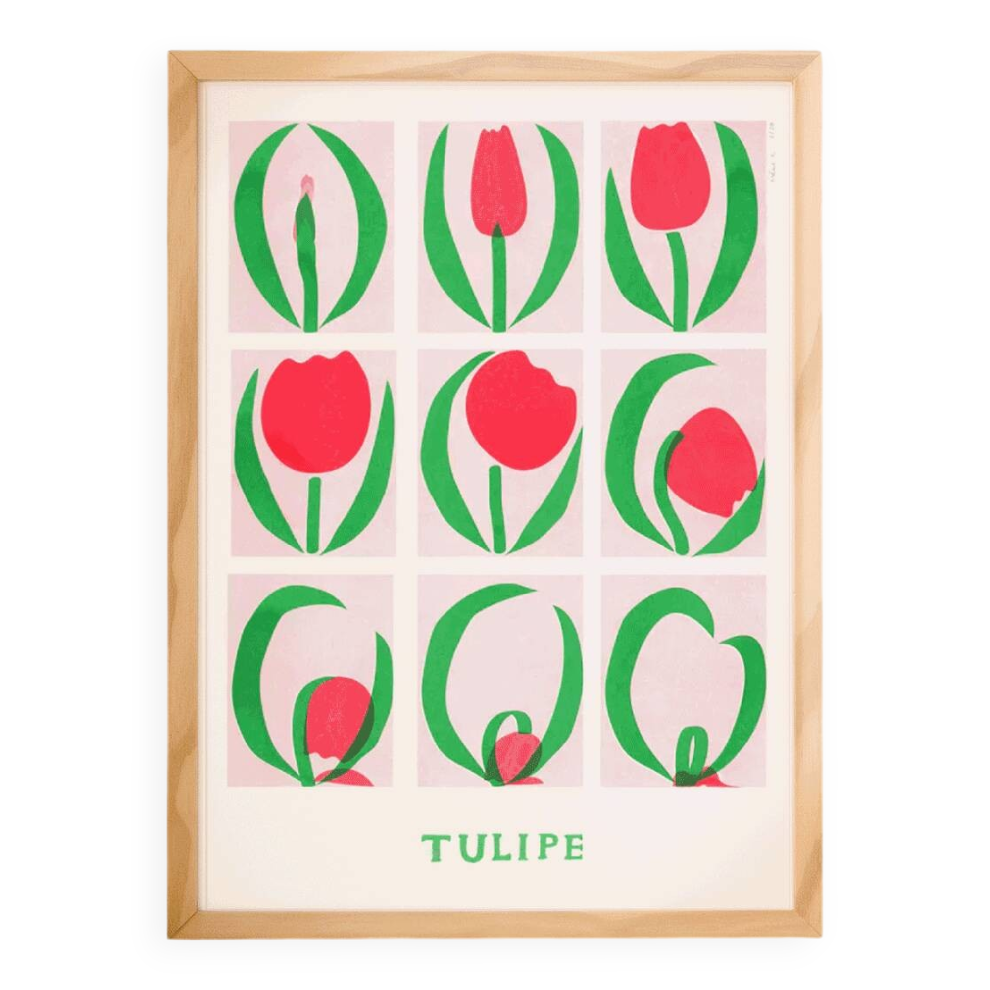 Poster, Tulip