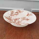 Compotier longwy Botanique