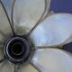 Plafonnier fleurs de lotus en nacre