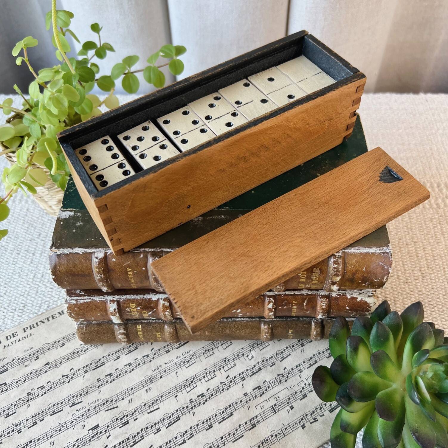 Box of wooden dominoes
