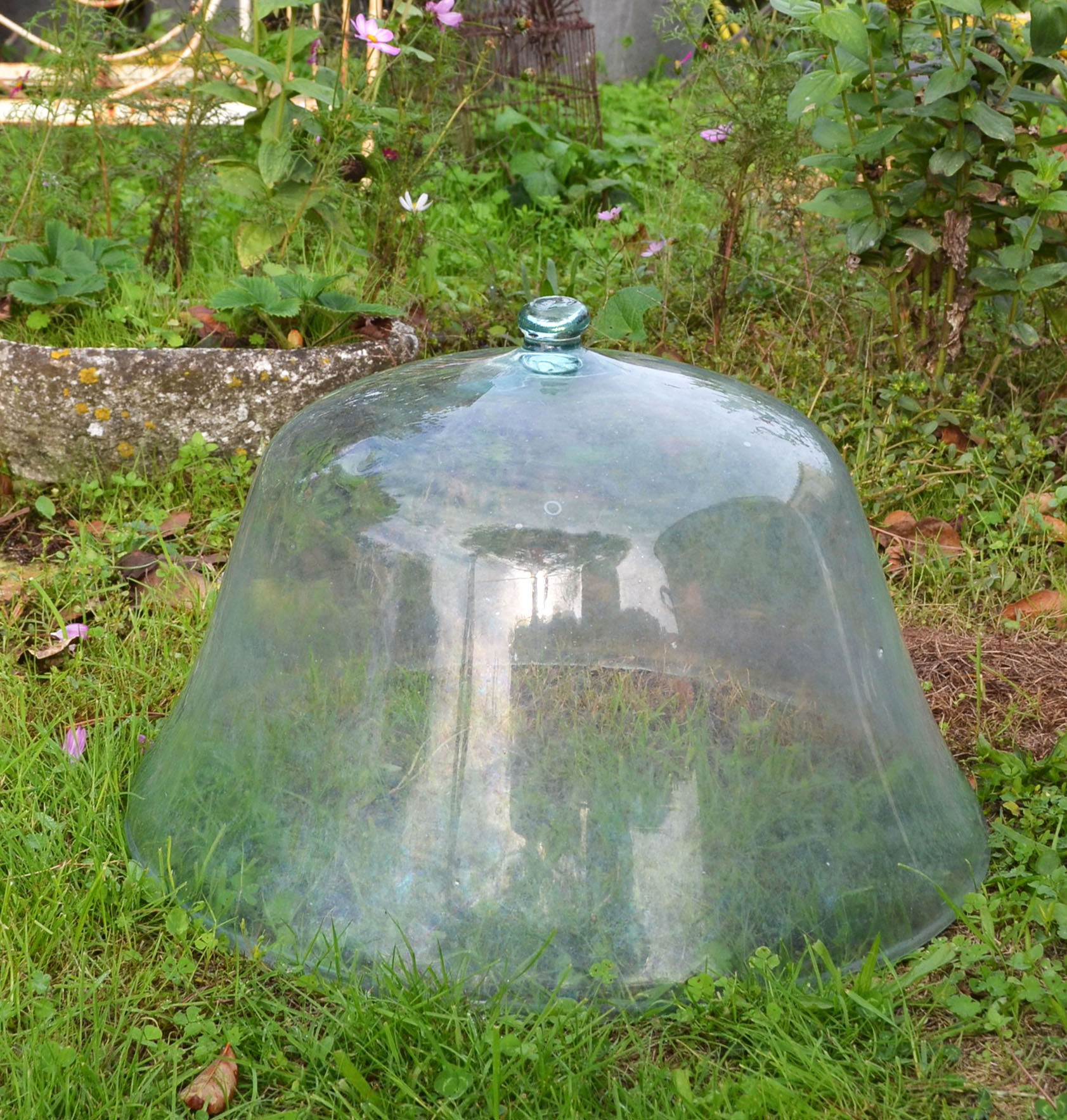 Cloche de jardin en verre soufflé