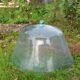 Cloche de jardin en verre soufflé