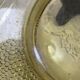 Large art deco yellow glass bowl, diameter 28.5 cm