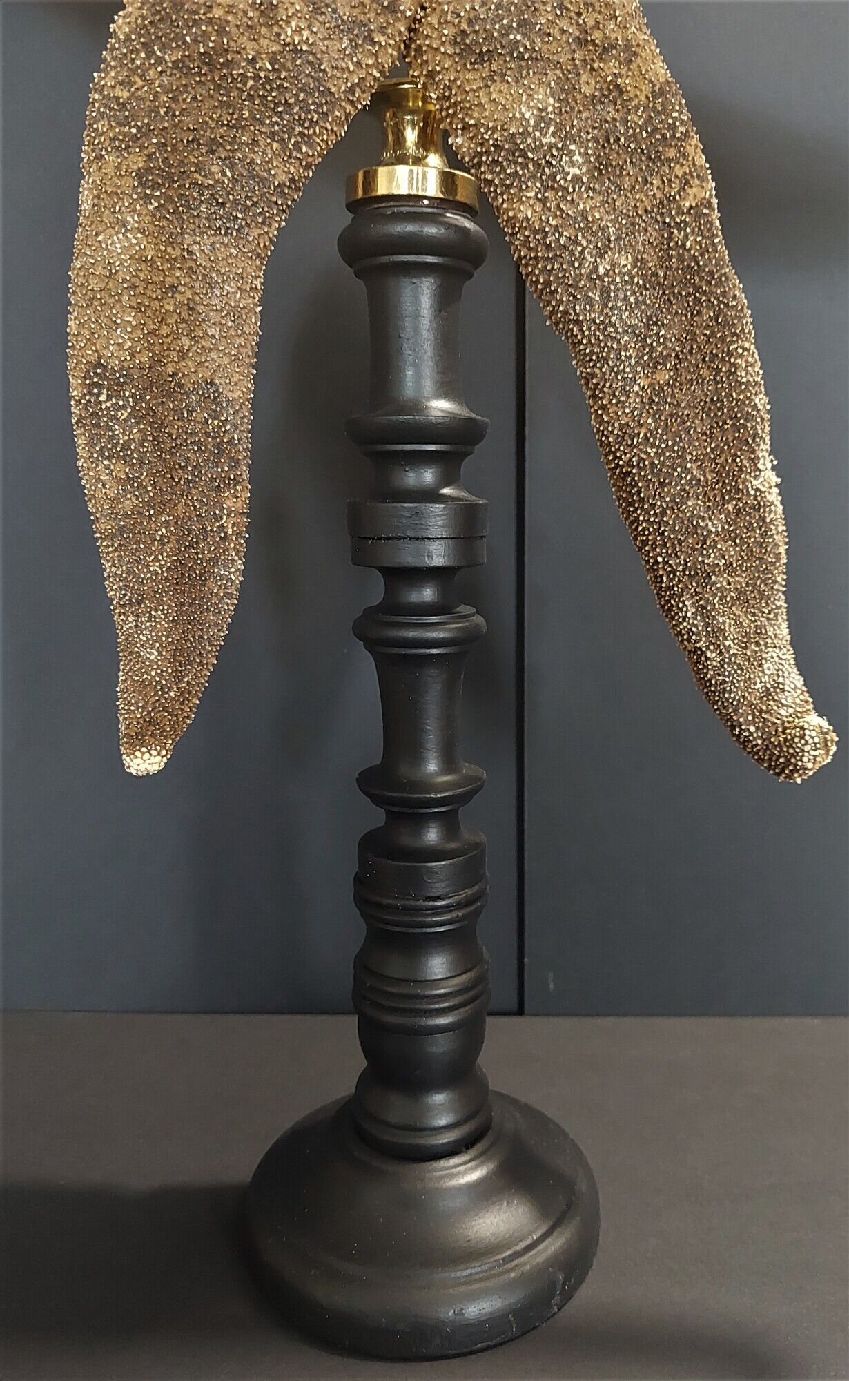 Giant starfish thromidia catalai on pedestal
